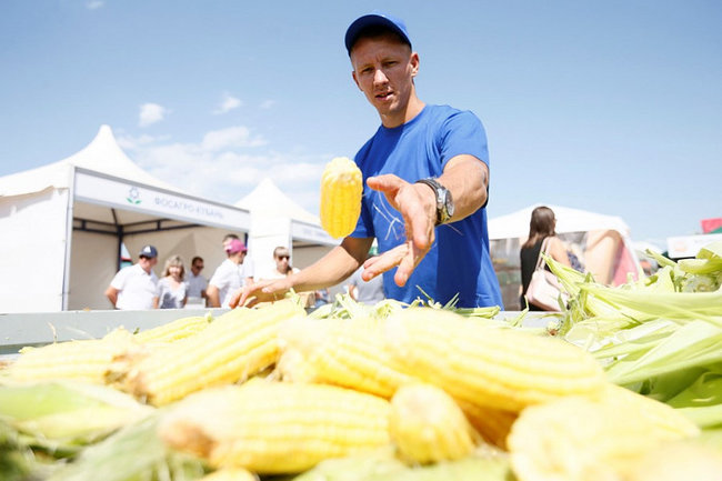 Опасный урожай: в российской кукурузе обнаружен избыток микотоксинов