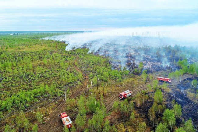 Лесные пожары лишили Россию козыря в омуте зеленой «перестройки»