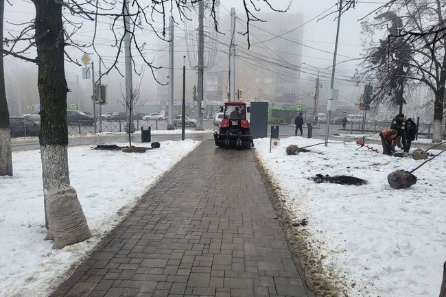 Озеленение в природном парке имени Перекальского в Курске