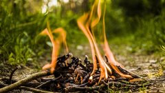 В Югре за неделю ликвидировали 97 пожаров
