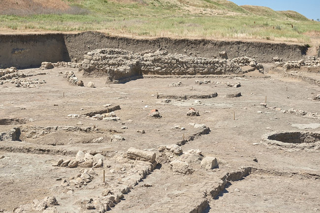 Туристам покажут новые археологические находки Фанагории