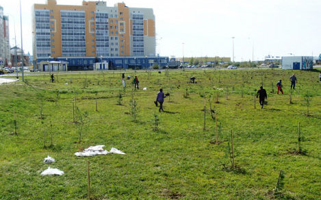 В Ханты-Мансийске пройдет акция по посадке деревьев «Лес Победы»