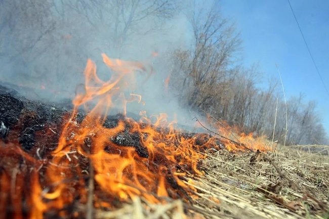 С 10 апреля в Чувашии вводится особый противопожарный режим