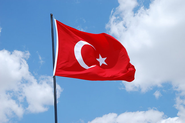 VPost: Турция возобновила транзит санкционнных товаров в РФ