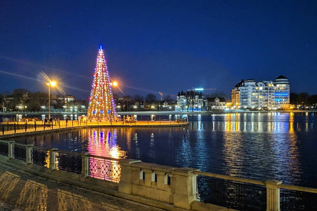 Власти Калининграда отказались покупать новогоднюю ёлку и украшения за 56 млн рублей