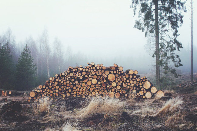 В Советском районе лесокомбинат производит древесную муку