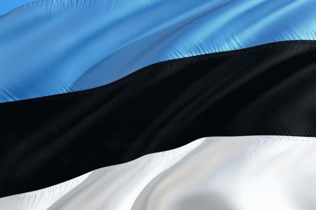 Эстония планирует застройку территорий, предполагаемых к обмену с Россией