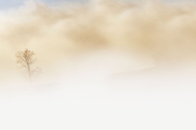 Оренбуржье 7 марта накроет плотный туман
