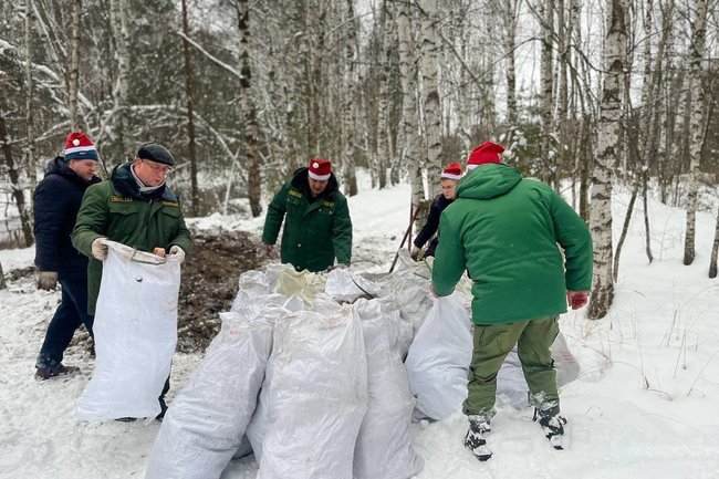 Из нижегородских лесов вывезли мусор