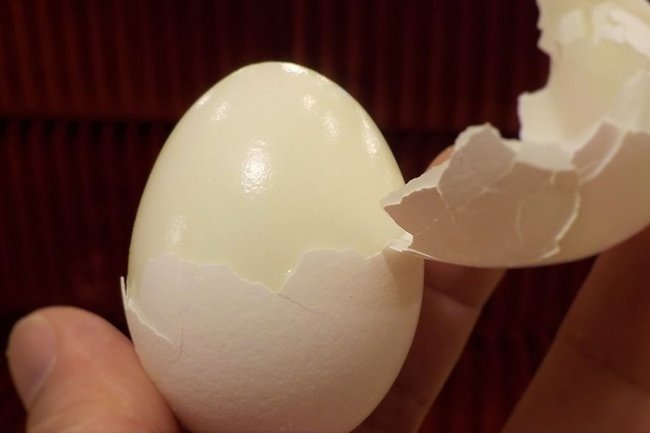 Диетолог Нефедова опровергла миф о вреде яиц