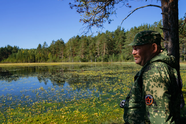 Заказник березовые острова