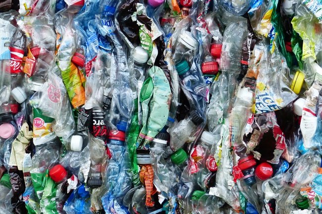 Роспотребнадзор поддержал полный запрет на одноразовый пластик