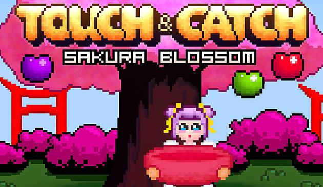 Touch at Catch Sakura Blossom