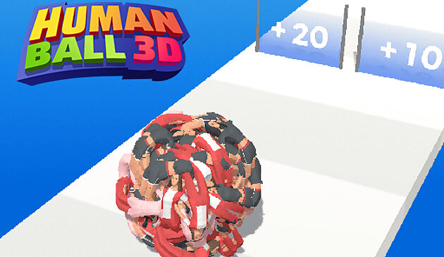 인간 공 3D